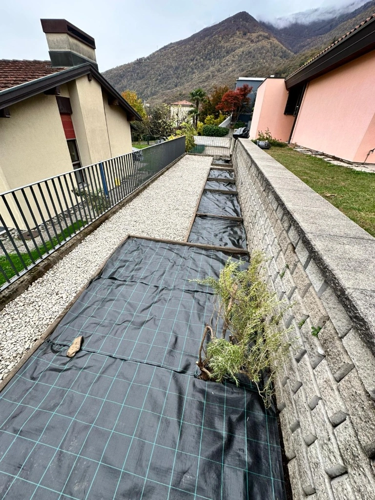 Risultato con ghiaia telo pacciamante e piante