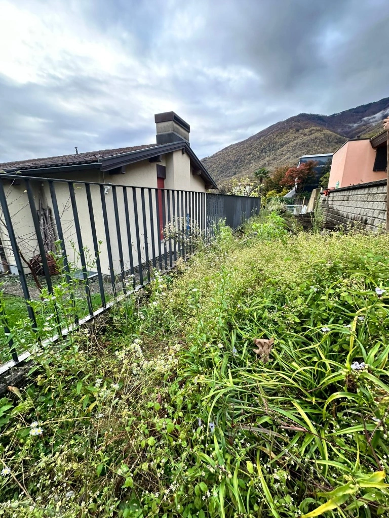 Giardino incolto prima dei lavori