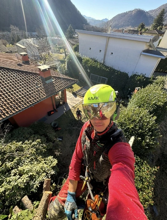 Paolo Bernasconi tree climbing su fune